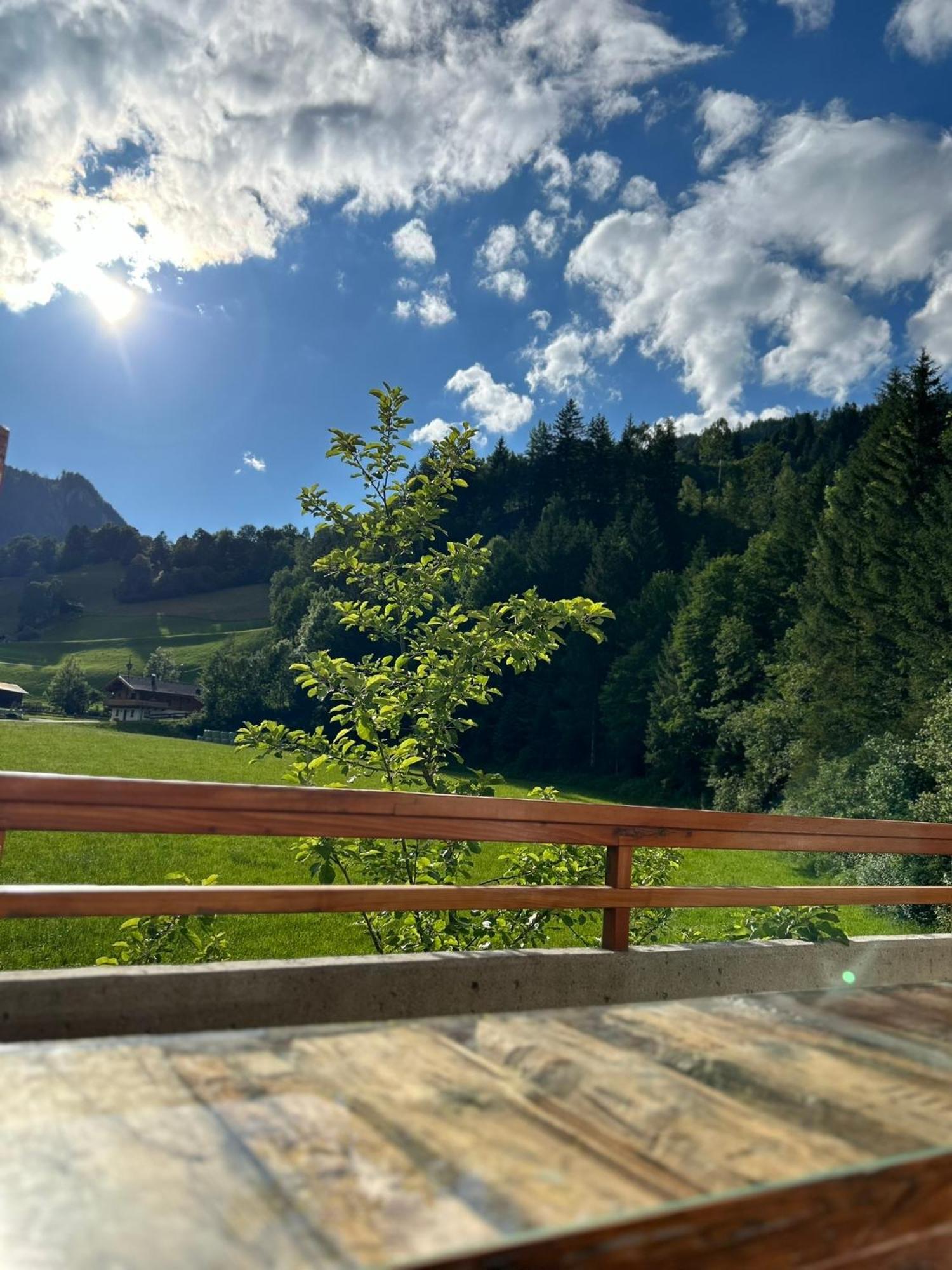 Bergblick Apartment Wald im Pinzgau Exterior photo